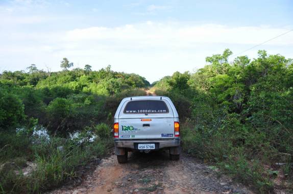 Aos poucos, a BR-319, a rodovia que liga Manaus à Porto Velho, vai ficando mais e mais estreita